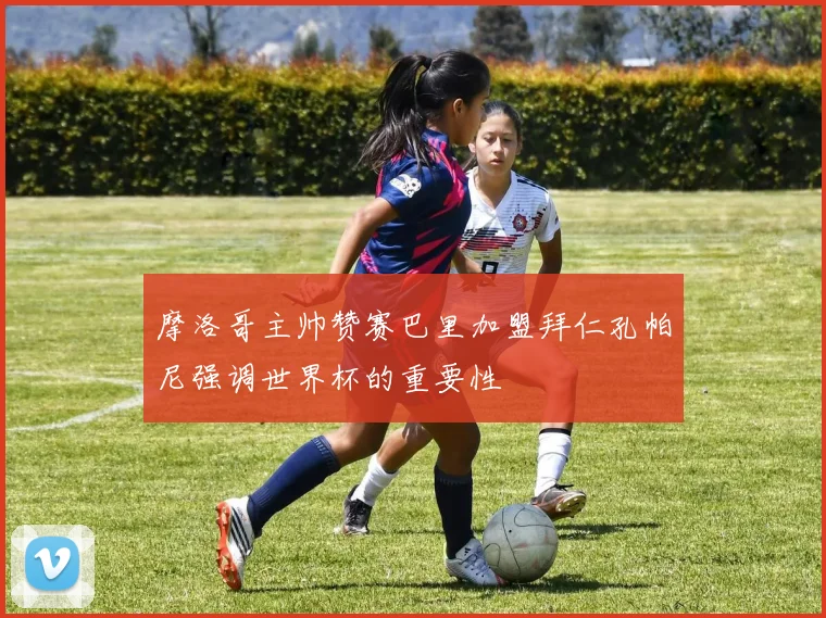 摩洛哥主帅赞赛巴里加盟拜仁孔帕尼强调世界杯的重要性